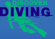Discover Diving logo